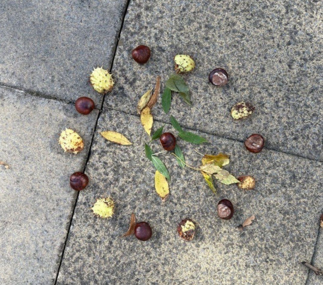 Conkers and leaves arranged in a circle