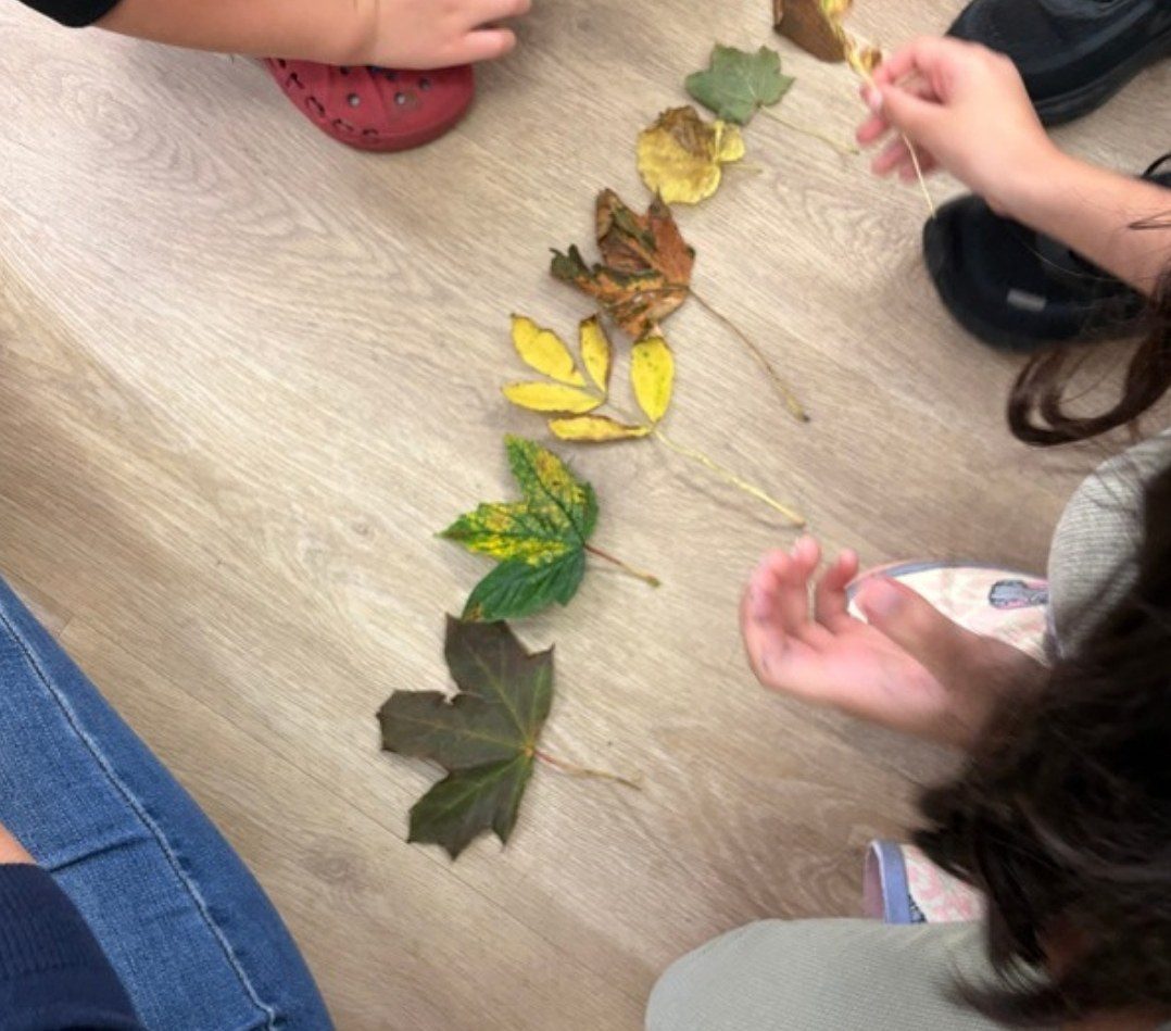 A line of autumn leaves sorted by colour