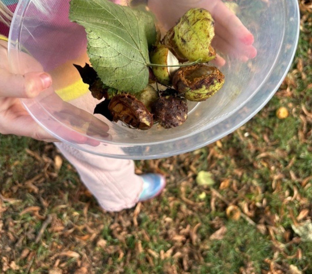 A bowl of conkers and leaves collected outdoors