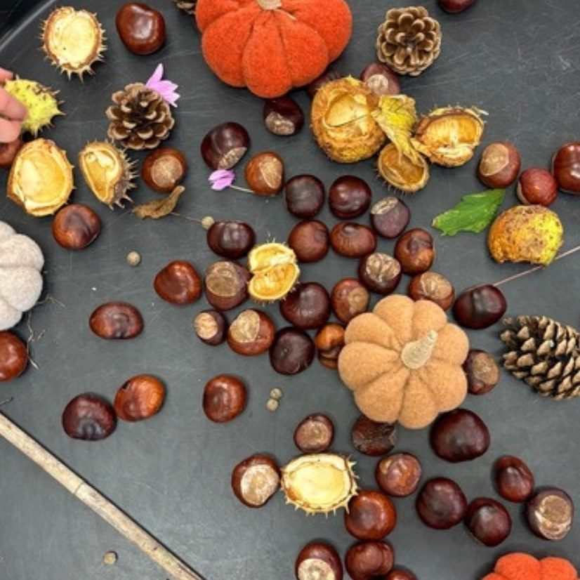 Conkers, pine cones and little pumpkins on our autumn tray